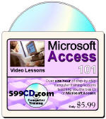 Learn Microsoft Access Now!