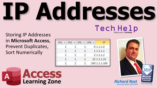 IP Addresses in Microsoft Access